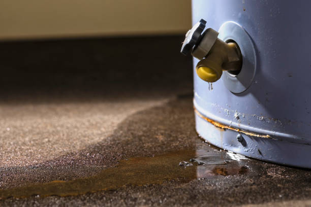 Best Basement water damage restoration  in Ladera Ranch, CA