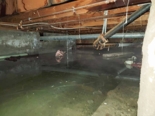 Best Flooded house restoration  in Ladera Ranch, CA