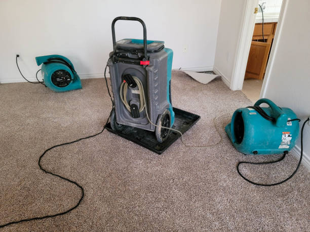 Sewage cleanup and water damage restoration in Ladera Ranch, CA