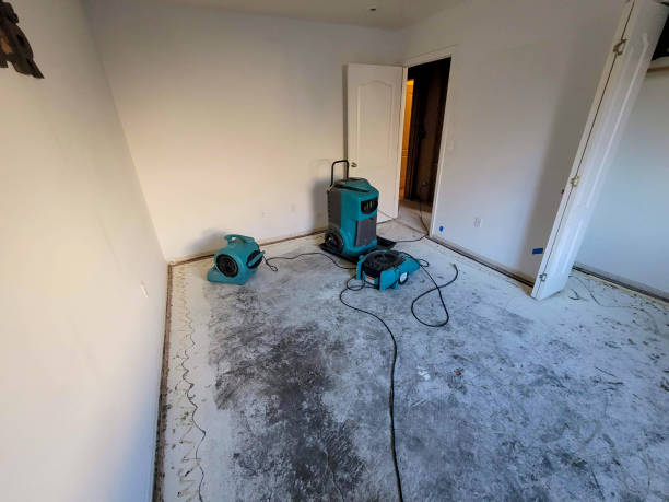 Best Water damage mitigation services  in Ladera Ranch, CA