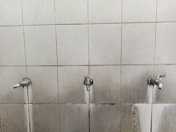 Best Professional water damage repair  in Ladera Ranch, CA