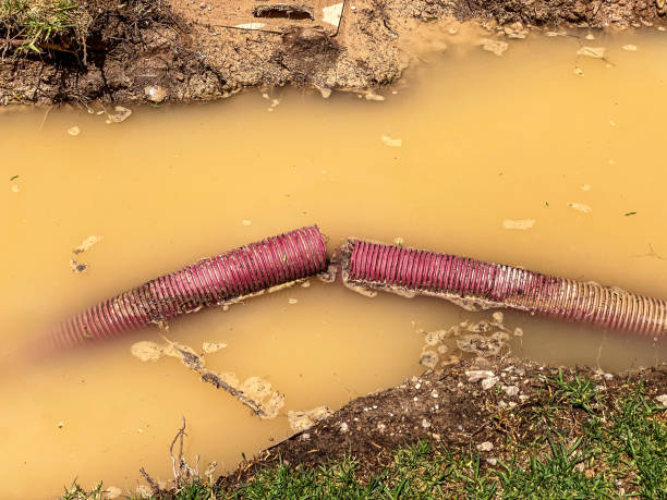 Best Water damage repair service  in Ladera Ranch, CA