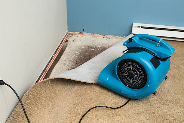 Best Mold removal after water damage  in Ladera Ranch, CA